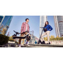 Trottinette Electrique NIU KQi2 Sport Trottinette Electrique NIU KQi2 Sport