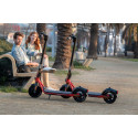 Trottinette électrique Ninebot D18E