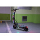 Weped CTD Weped CTD